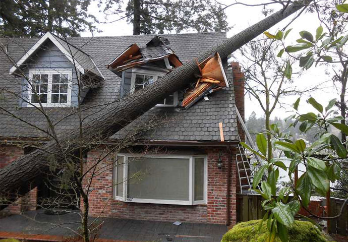 Roofing claim paperwork and repair